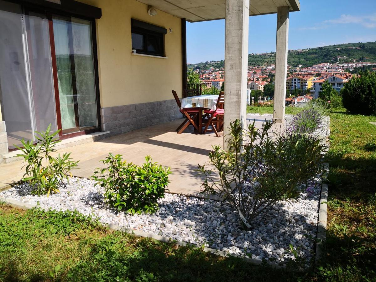 Solmar, With Big Terrace Near Nature Portoroz