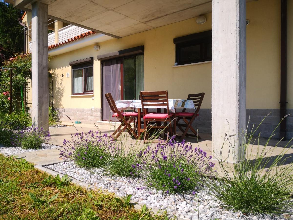 Solmar, With Big Terrace Near Nature *