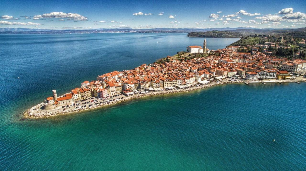 Solmar, With Big Terrace Near Nature